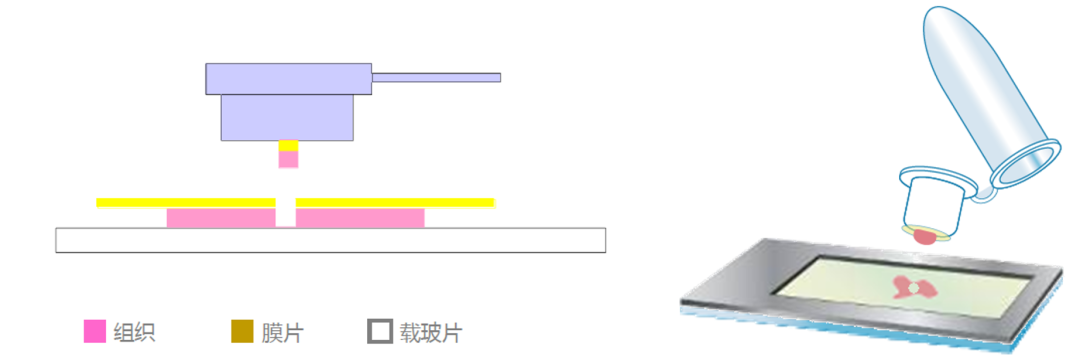 image030.png image030.png