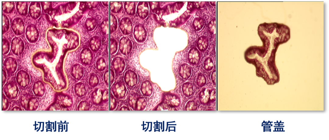 image032.png image032.png