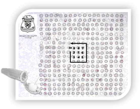 image035.png image035.png