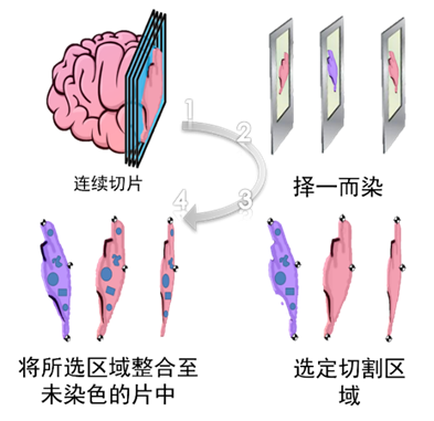 image036.png image036.png