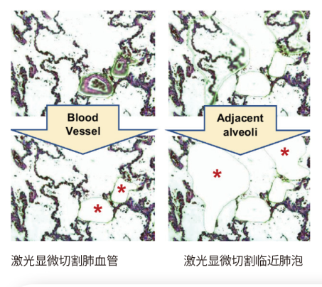 image037.png image037.png