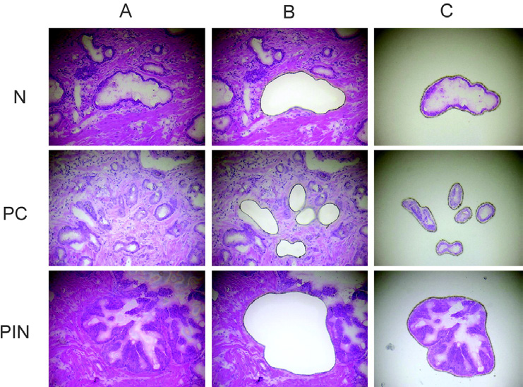 image038.png image038.png