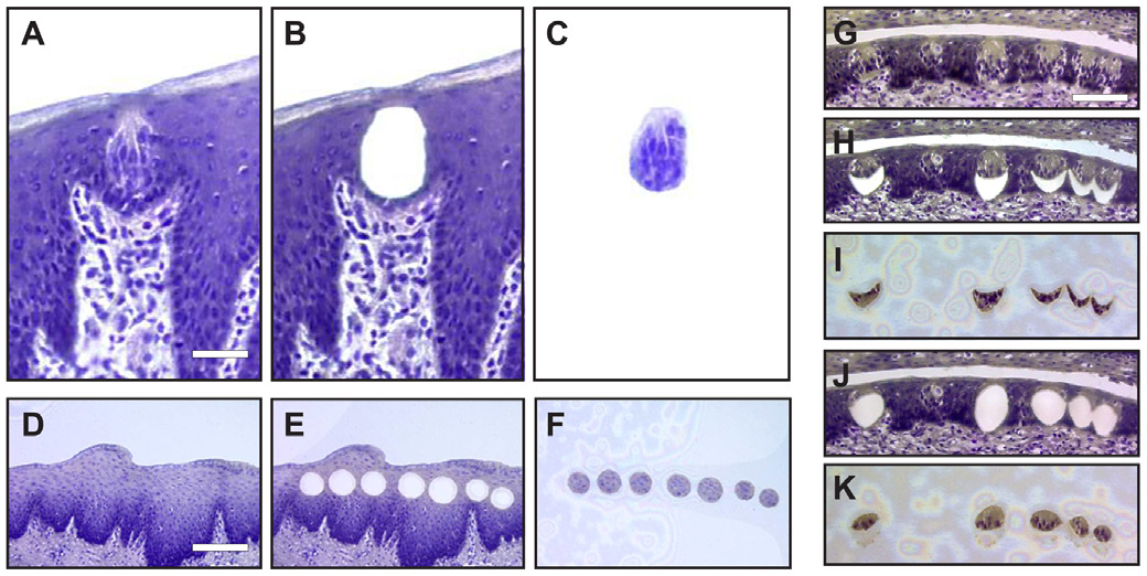 image040.png image040.png