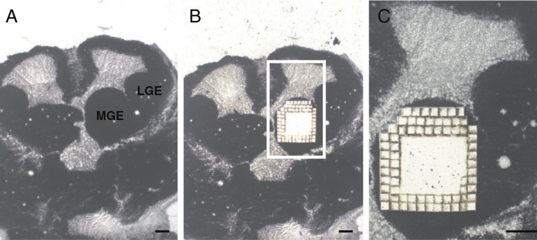 image042.png image042.png
