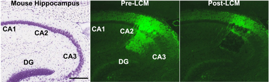 image044.png image044.png