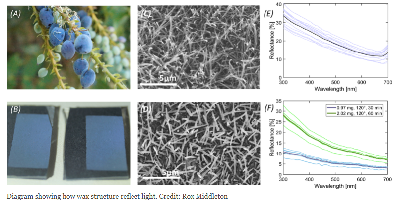 企业微信截图_17085059301293.png 企业微信截图_17085059301293.png