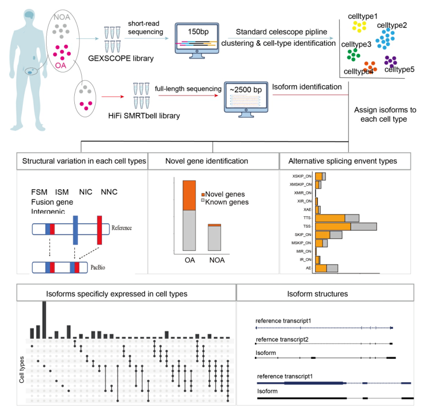 image001.png image001.png