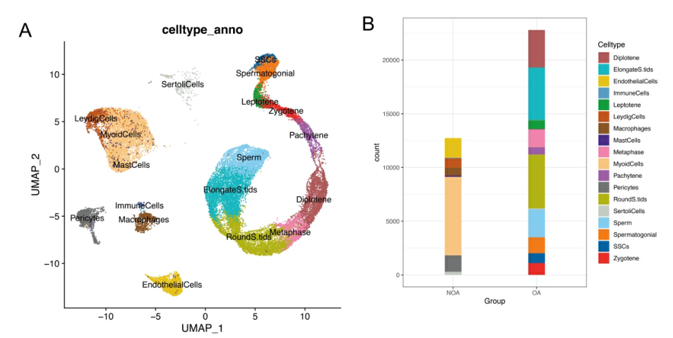 image004.png image004.png