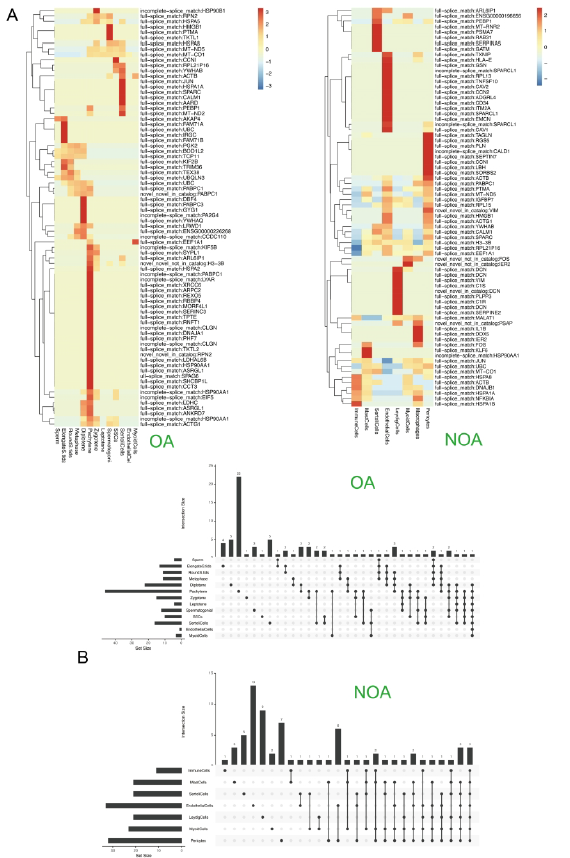 image010.png image010.png