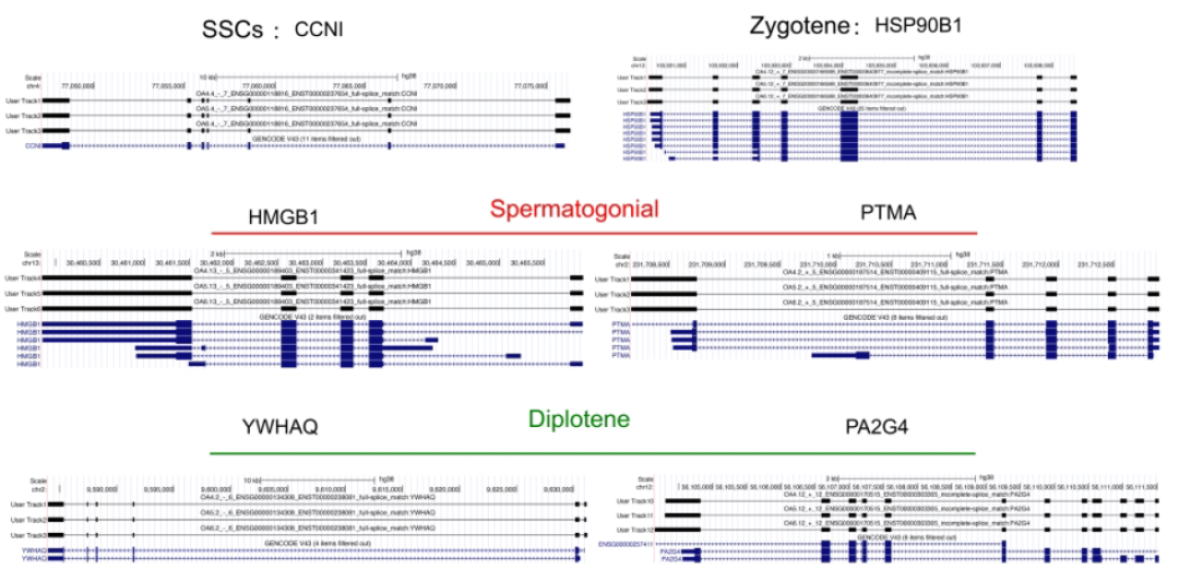 image012.png image012.png