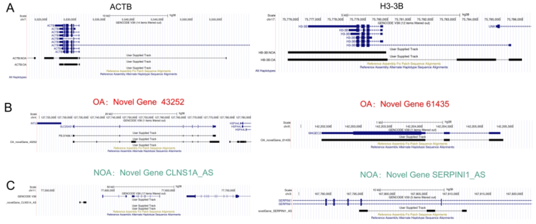 image016.png image016.png