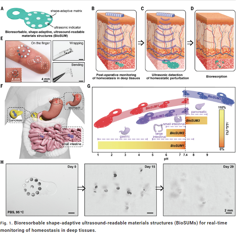 企业微信截图_17098787964631.png 企业微信截图_17098787964631.png