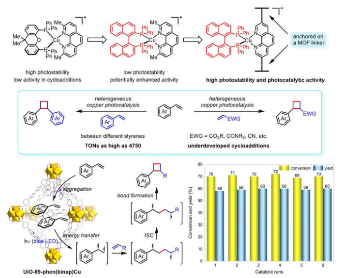 企业微信截图_17109158962796.png 企业微信截图_17109158962796.png