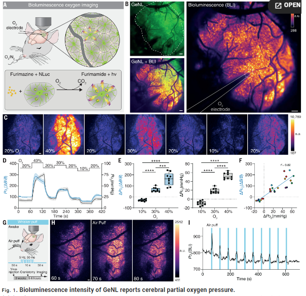 企业微信截图_17116976223613.png 企业微信截图_17116976223613.png
