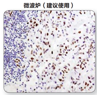 image009.png image009.png