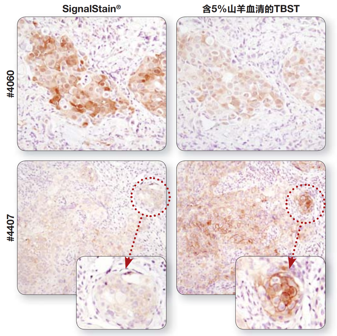 image012.png image012.png