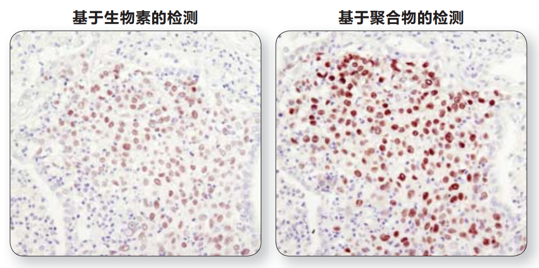 image014.png image014.png