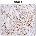 image021.png image021.png