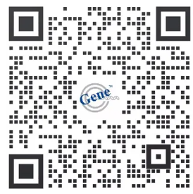 image024.png image024.png