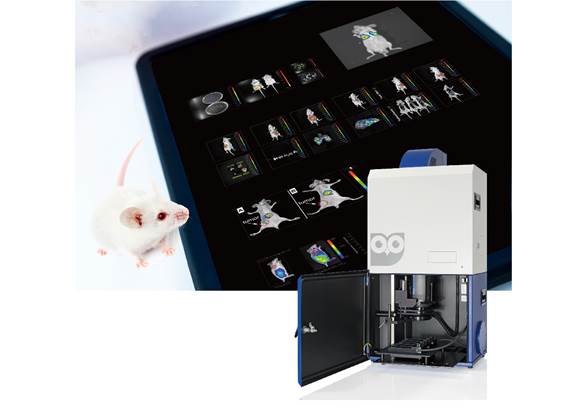 image014.jpg image014.jpg