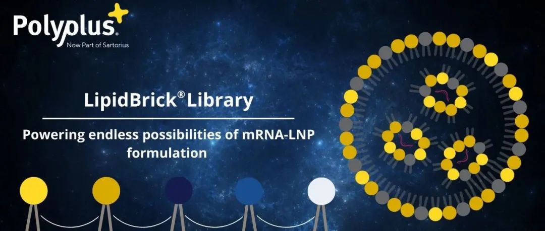 image003.jpg image003.jpg