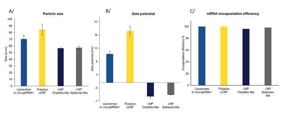 image005.png image005.png