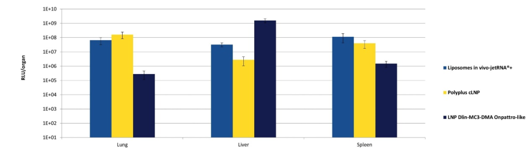 image007.png image007.png