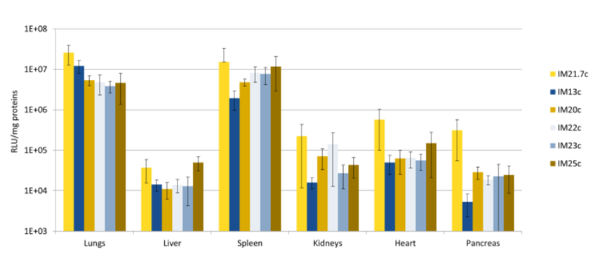 image009.png image009.png