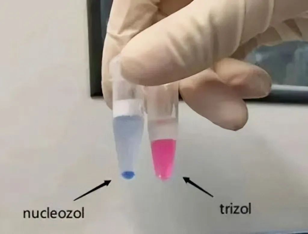 image017.jpg image017.jpg