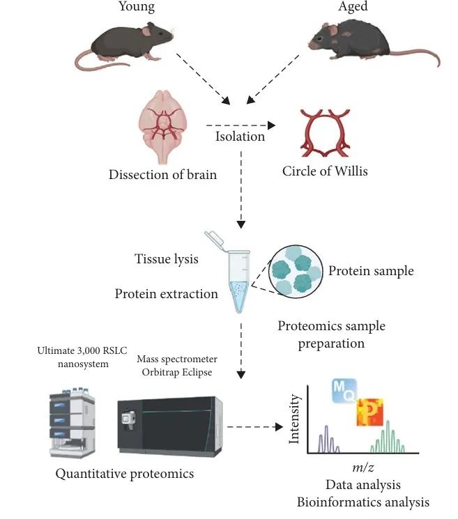 image005.jpg image005.jpg