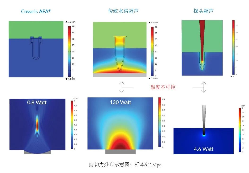 image009.jpg image009.jpg