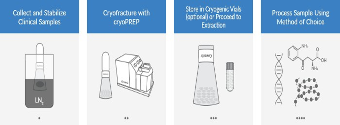 image021.png image021.png