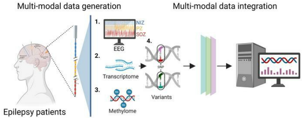 癫痫.png 癫痫.png