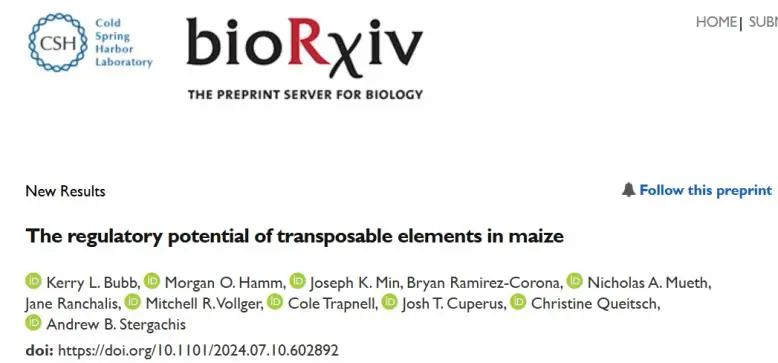 image005.jpg image005.jpg