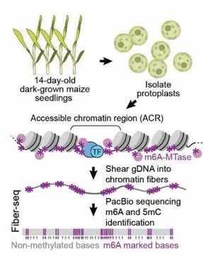 image008.jpg image008.jpg