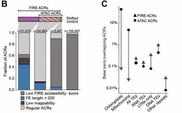 image009.jpg image009.jpg