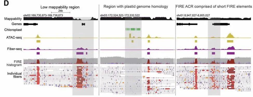 image011.jpg image011.jpg