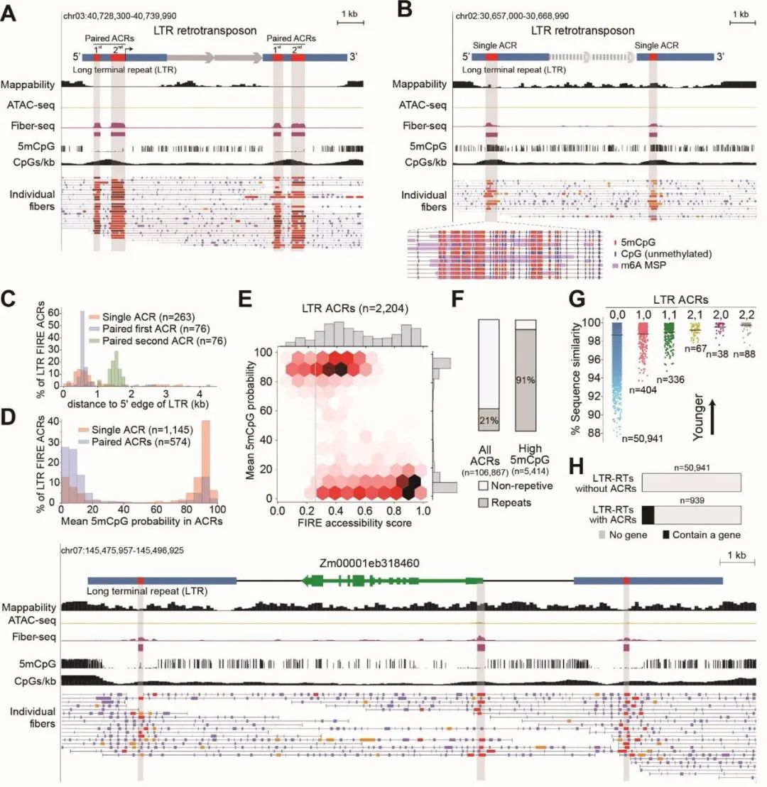 image013.jpg image013.jpg