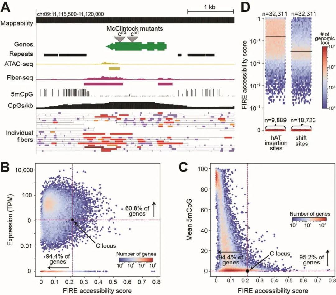 image015.jpg image015.jpg