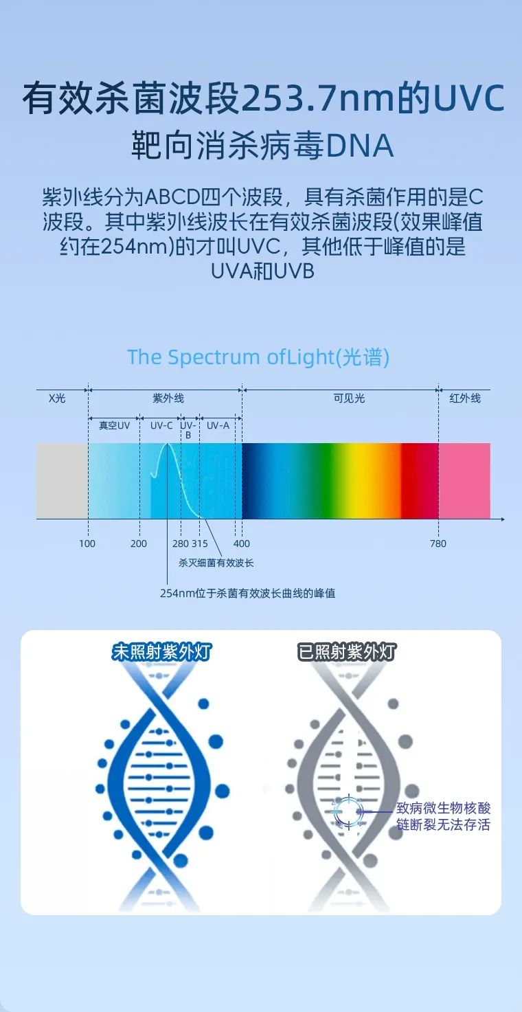 image010.jpg image010.jpg