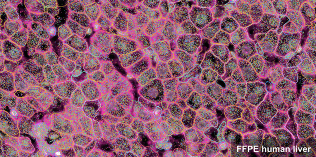 image002.png image002.png