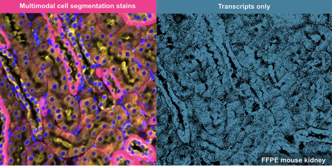 image003.png image003.png