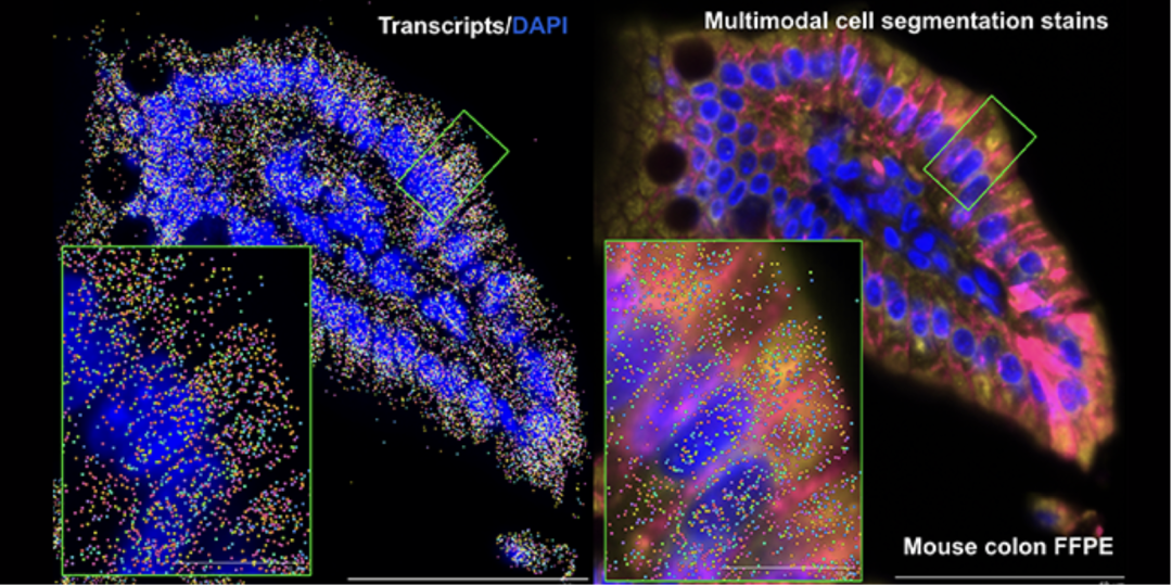 image004.png image004.png