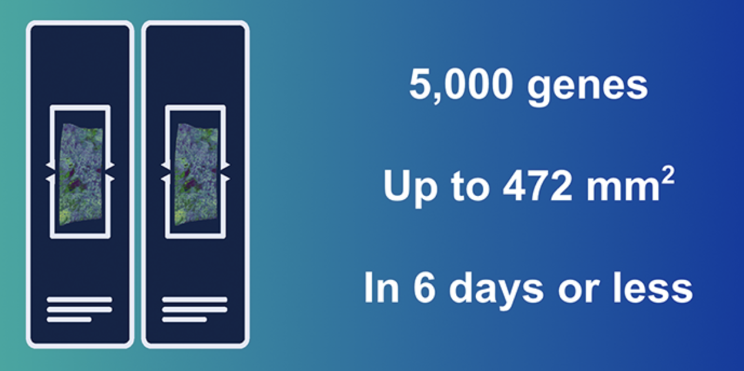 image005.png image005.png