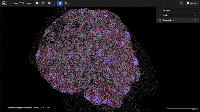 image006.gif image006.gif