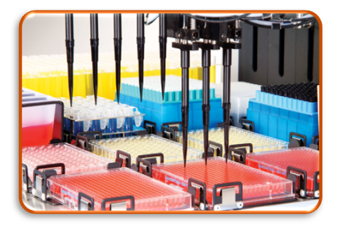 image004.png image004.png