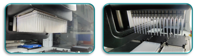 image005.png image005.png