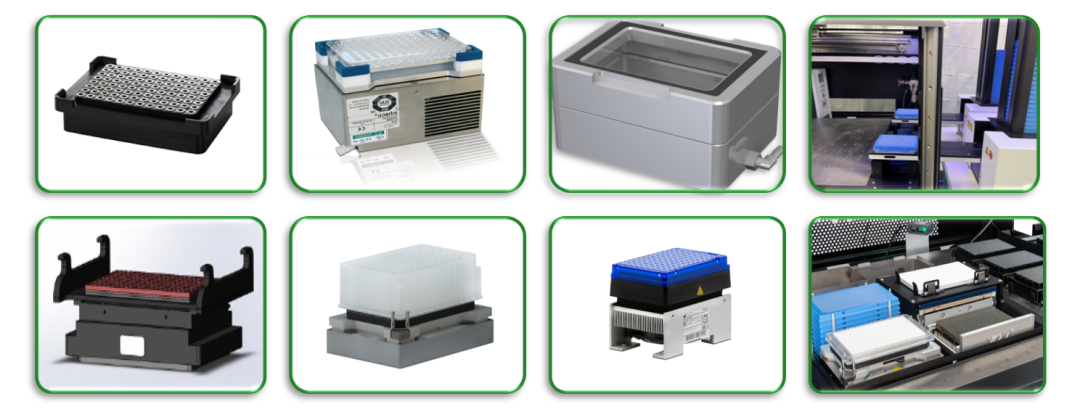 image010.png image010.png