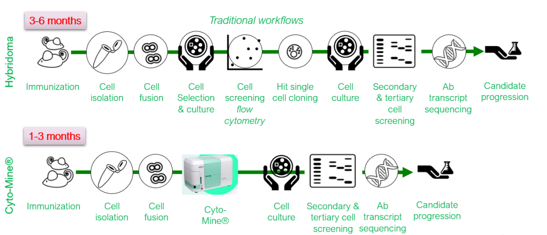 image003.png image003.png