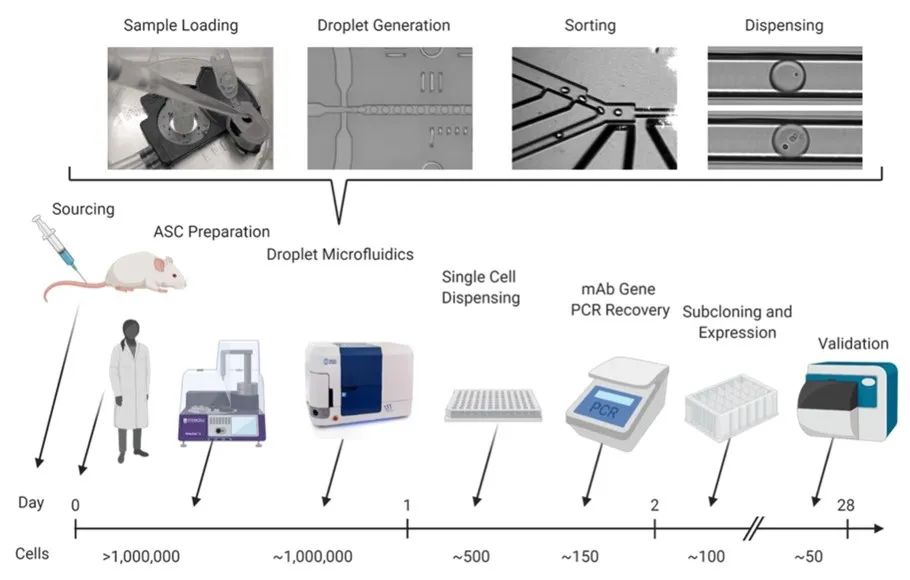 image005.jpg image005.jpg
